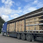 LKW Brennholz Hainbuche Buche 22 Paletten ( 44 RM ) 25 / 33cm – Ofenfertig