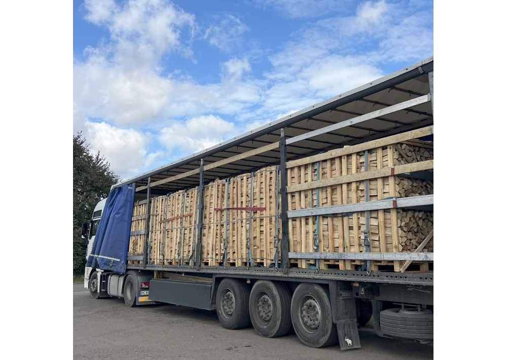 A1.webp LKW Brennholz Hainbuche Buche 22 Paletten ( 44 RM ) 25 / 33cm – Ofenfertig – Bild 1